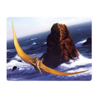 Obrázek z Pohlednice 3D 16cm - pteranodon (25) 